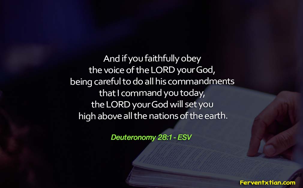Word of the day: Deuteronomy 28 vs 1 – Blessings of Obedience